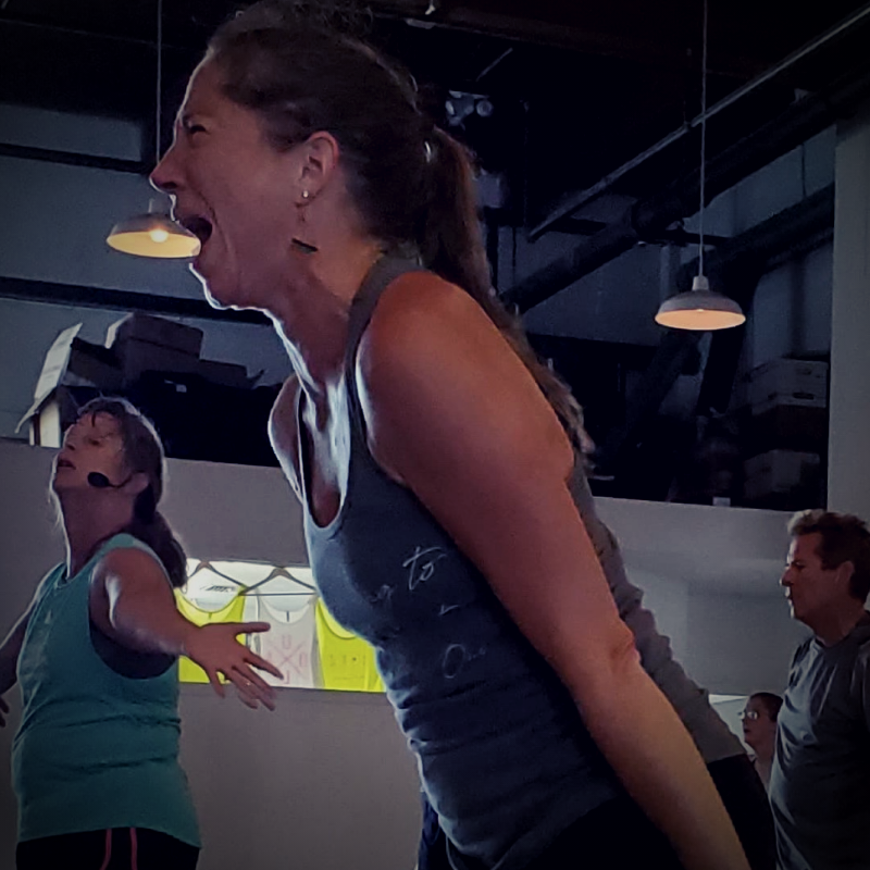 Scream lyrics until you BELIEVE them