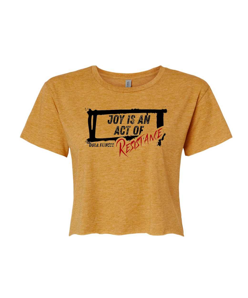 Joy is an Act of Resistance