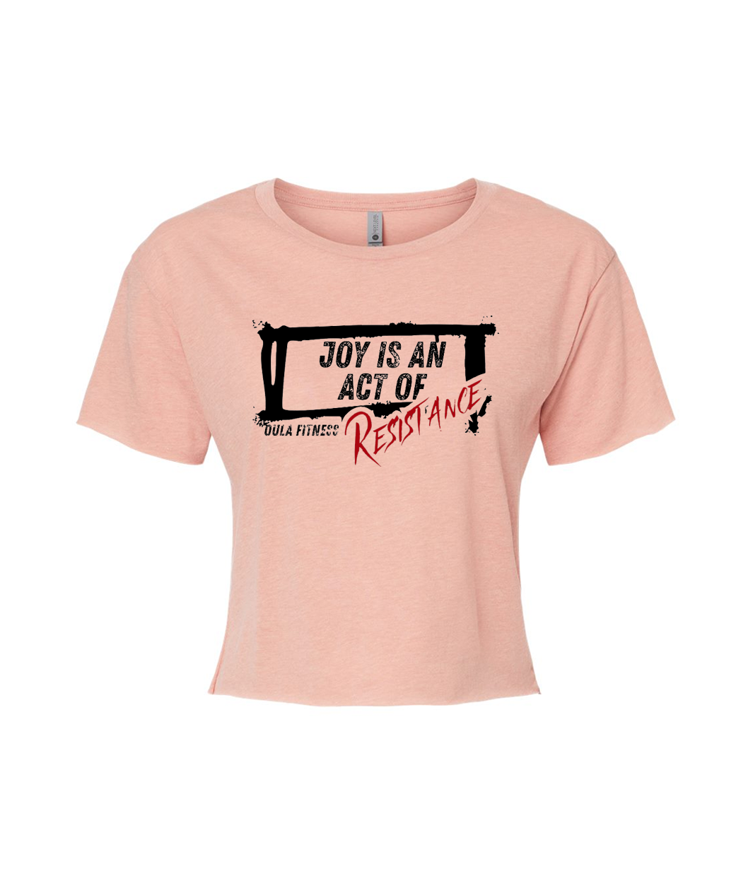 Joy is an Act of Resistance